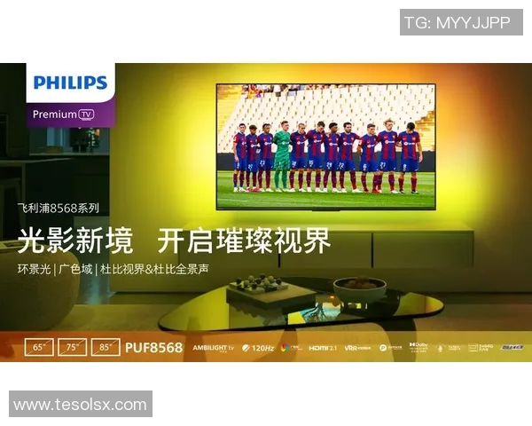 欧洲杯赛事球迷文化传播与互动方式